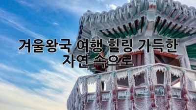 겨울왕국 여행: 힐링 가득한 자연 속으로!