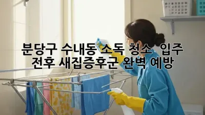 ✨ 분당구 수내동 소독 청소 ✨ 입주 전후 새집증후군 완벽 예방! 🏡